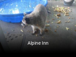 Alpine Inn opening hours